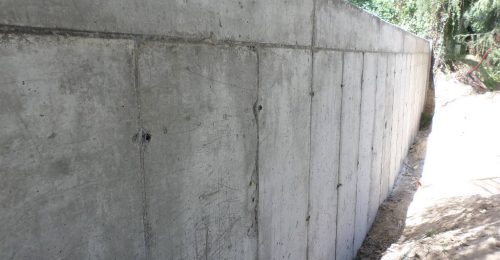 IMG-20250124-WA0021